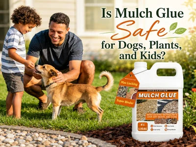 Is Mulch Glue Safe Around Dogs, Kids, and Plants